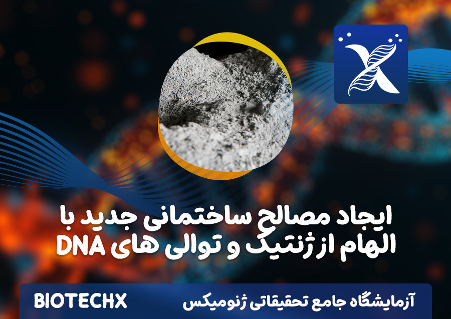 کارگاه ایجاد مصالح ساختمانی جدید با الهام از ژنتیک و توالی های DNA